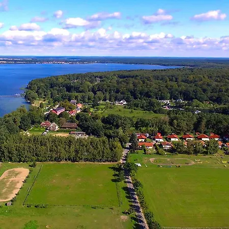 Zander Im Lenzer Hoeh *