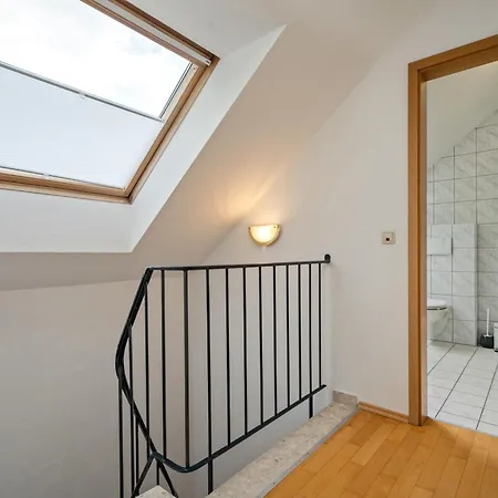 Zander Im Lenzer Hoeh *