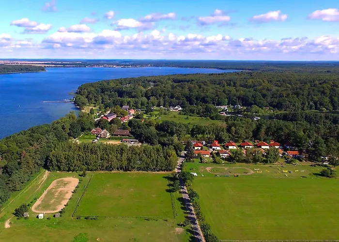 Zander Im Lenzer Hoeh *