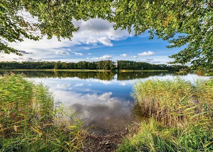 Zander Im Lenzer Hoeh בית נופש Fuenfseen