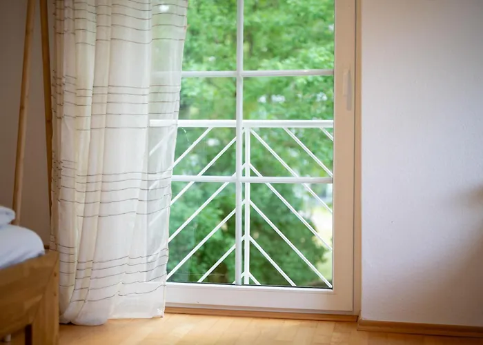 Zander Im Lenzer Hoeh Fuenfseen