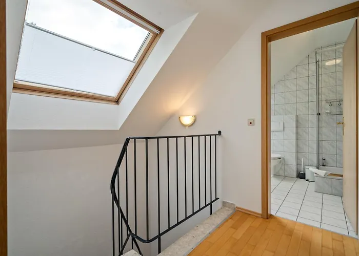 Zander Im Lenzer Hoeh *